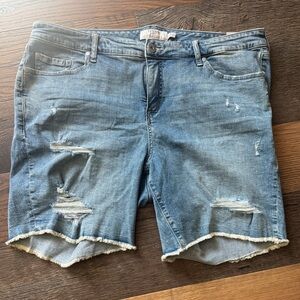 Torrid Blue Distressed Jean Shorts